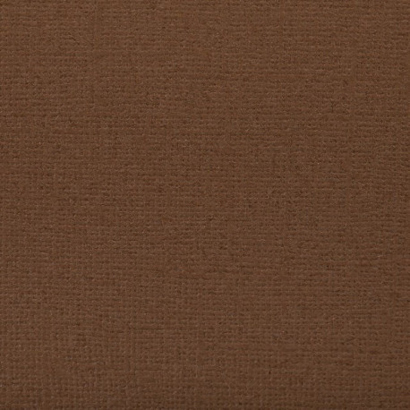 Фундук (коричневый), бумага для скрапбукинга (кардсток) 216г/м2 30,5x30,5см Mr.Painter