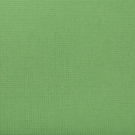 Авокадо (зеленый), бумага для скрапбукинга (кардсток) 216г/м2 30,5x30,5см Mr.Painter