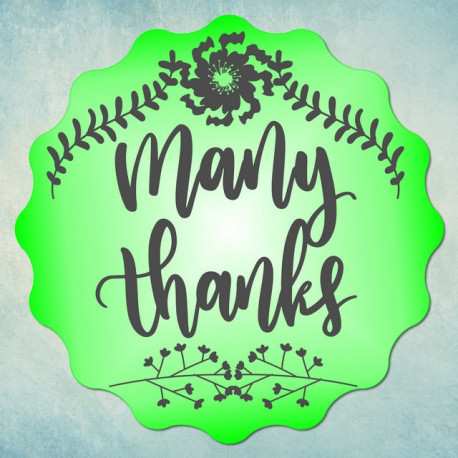 Many thanks S 5х5х0,5см, молд силиконовый универсальный АП