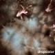 Хаки, краситель для ткани Drop №38 50гр